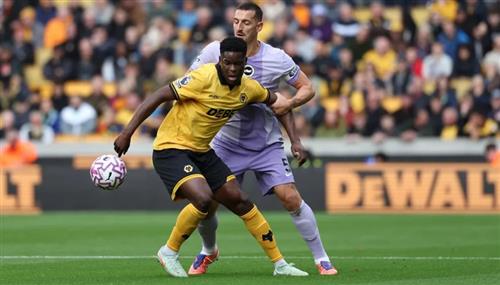 Wolves vs Brighton